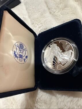 2000 Silver American Eagle Coin in Blue Velvet Display Case